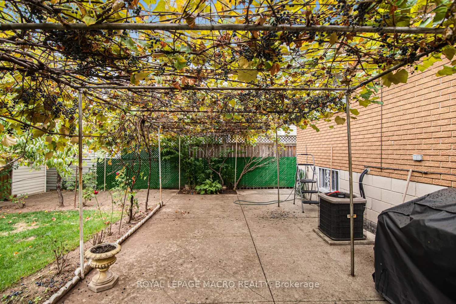 31 Adair Avenue photo 3