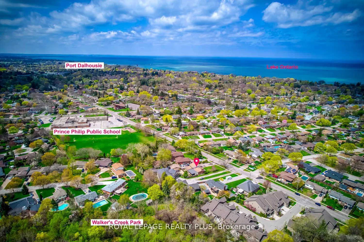 128 Parnell Road photo 5