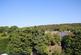 Additional image 8 of The Square, Grayshott, Grayshott