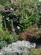 Additional image 23 of Newbury Street, Wantage, OX12