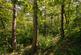 Additional image 21 of Highsted Park, Peacehaven
