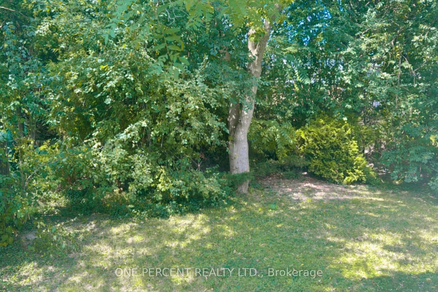 131 Paperbirch Crescent photo 4