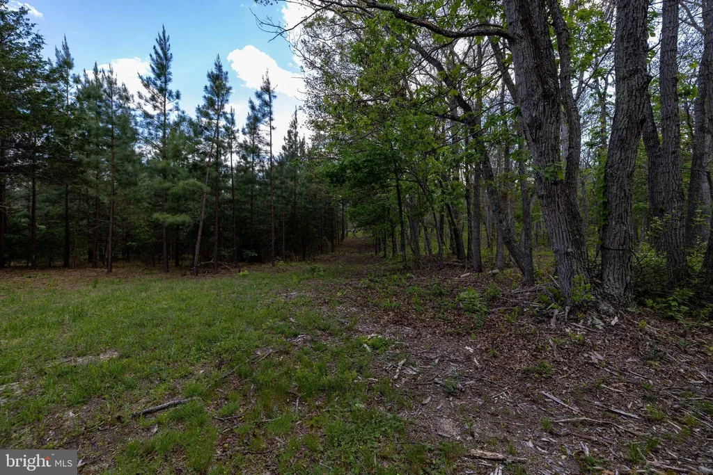 Additional image 25 of Boliver Road, Fort Valley, VA 22652