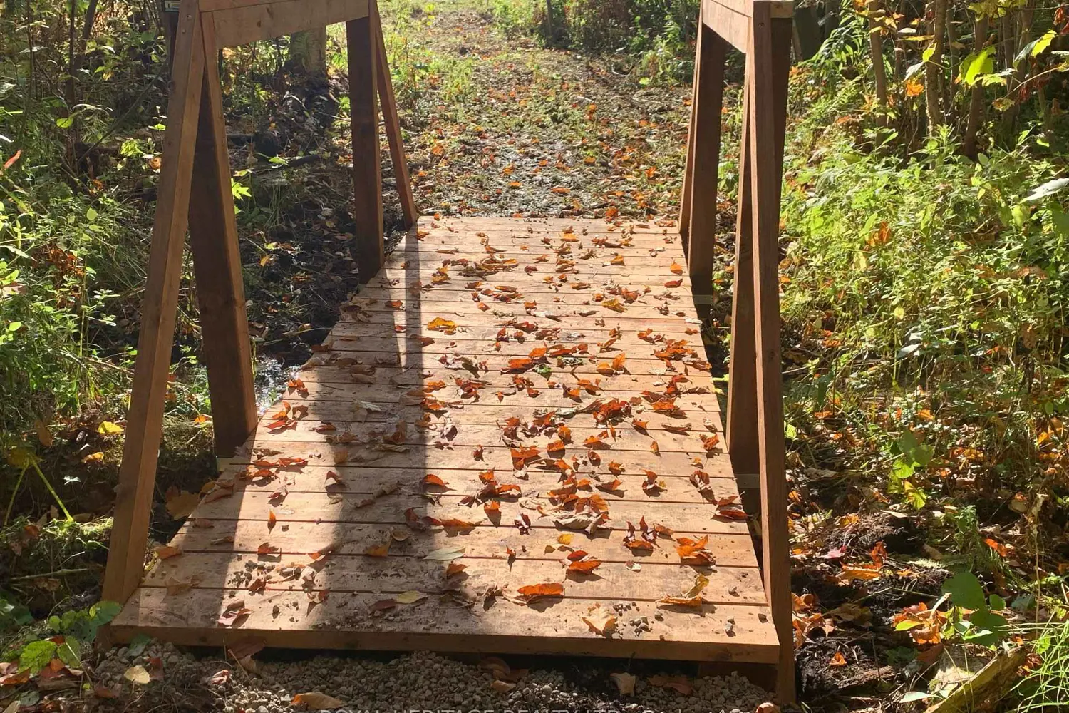 Additional image 15 of 141 Shanagarry Drive