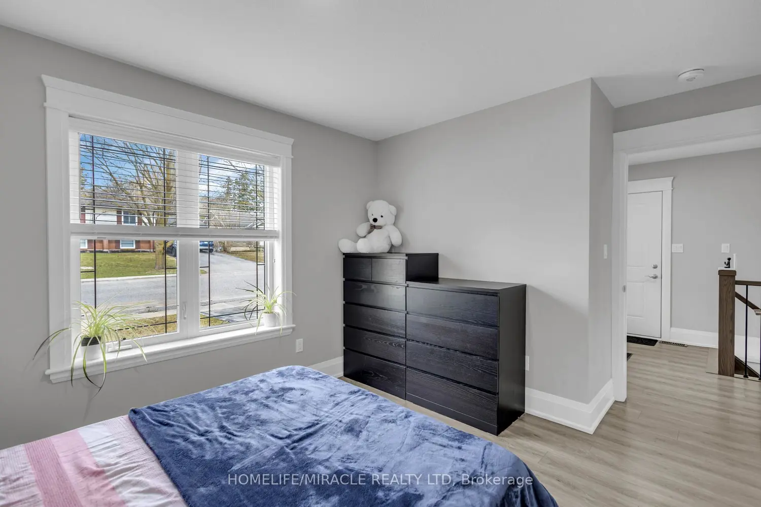 172 Miller Street photo 4