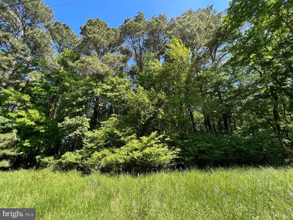 Additional image 10 of Parcel 40 Revells Neck Road, Westover, MD 21871