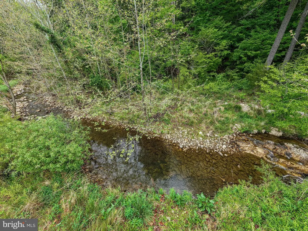 Additional image 67 of 2645 Dry Run Road, Luray, VA 22835