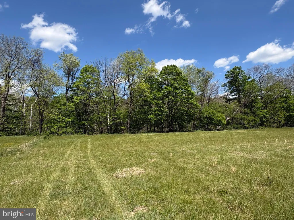 Additional image 20 of 8.25 AC Walnut Tree Lane, Paw Paw, WV 25434