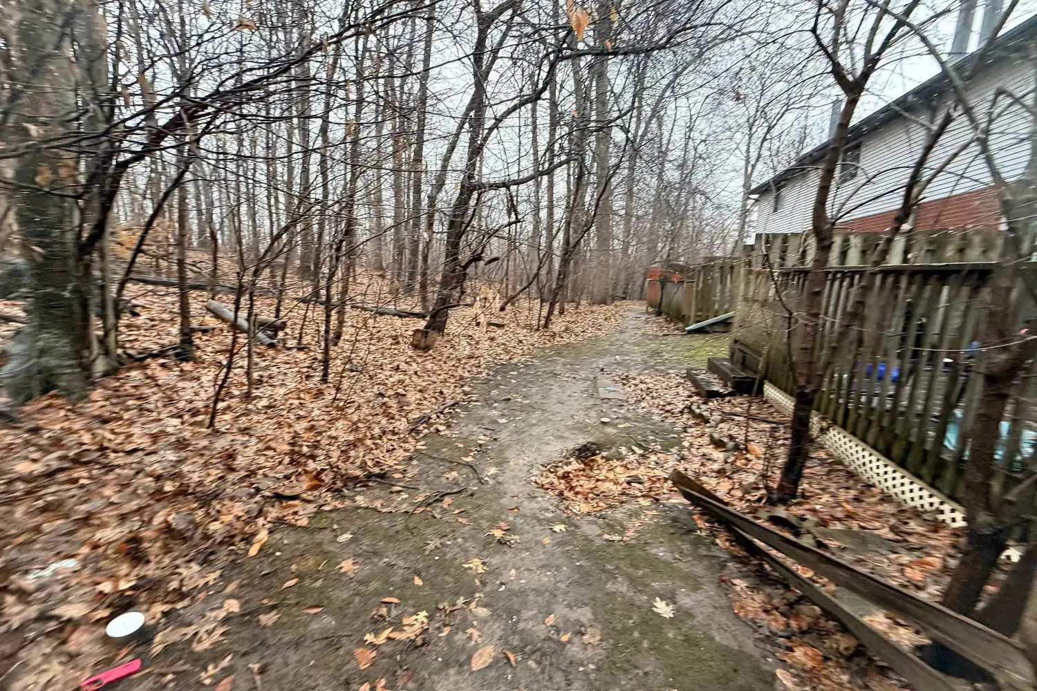 219 Kingswood Drive 29 photo 5