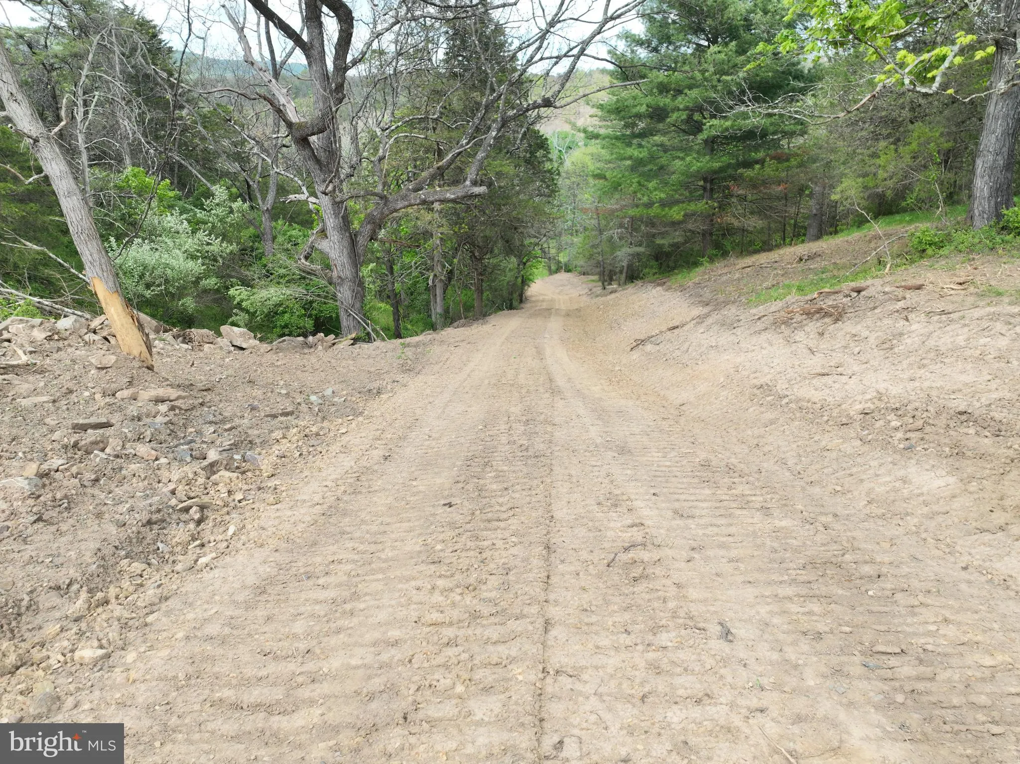 Additional image 71 of 8.25 AC Walnut Tree Lane, Paw Paw, WV 25434