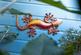 Additional image 33 of L'Abri, 8 Le Clos Des Sables, St Brelade