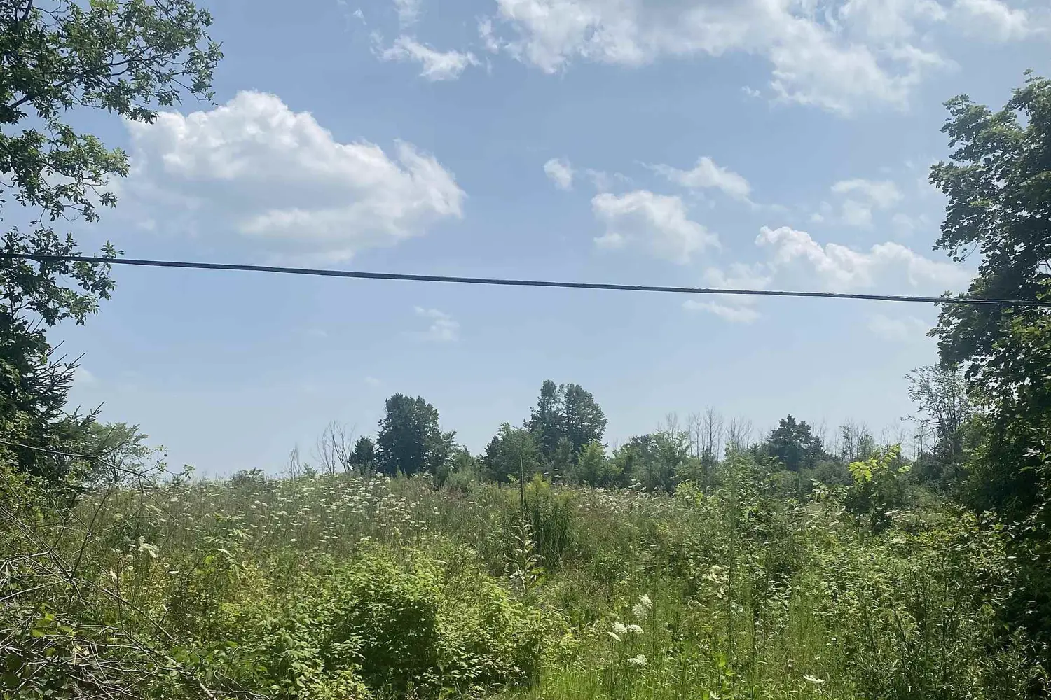Lt 5 Harmony Road photo 3