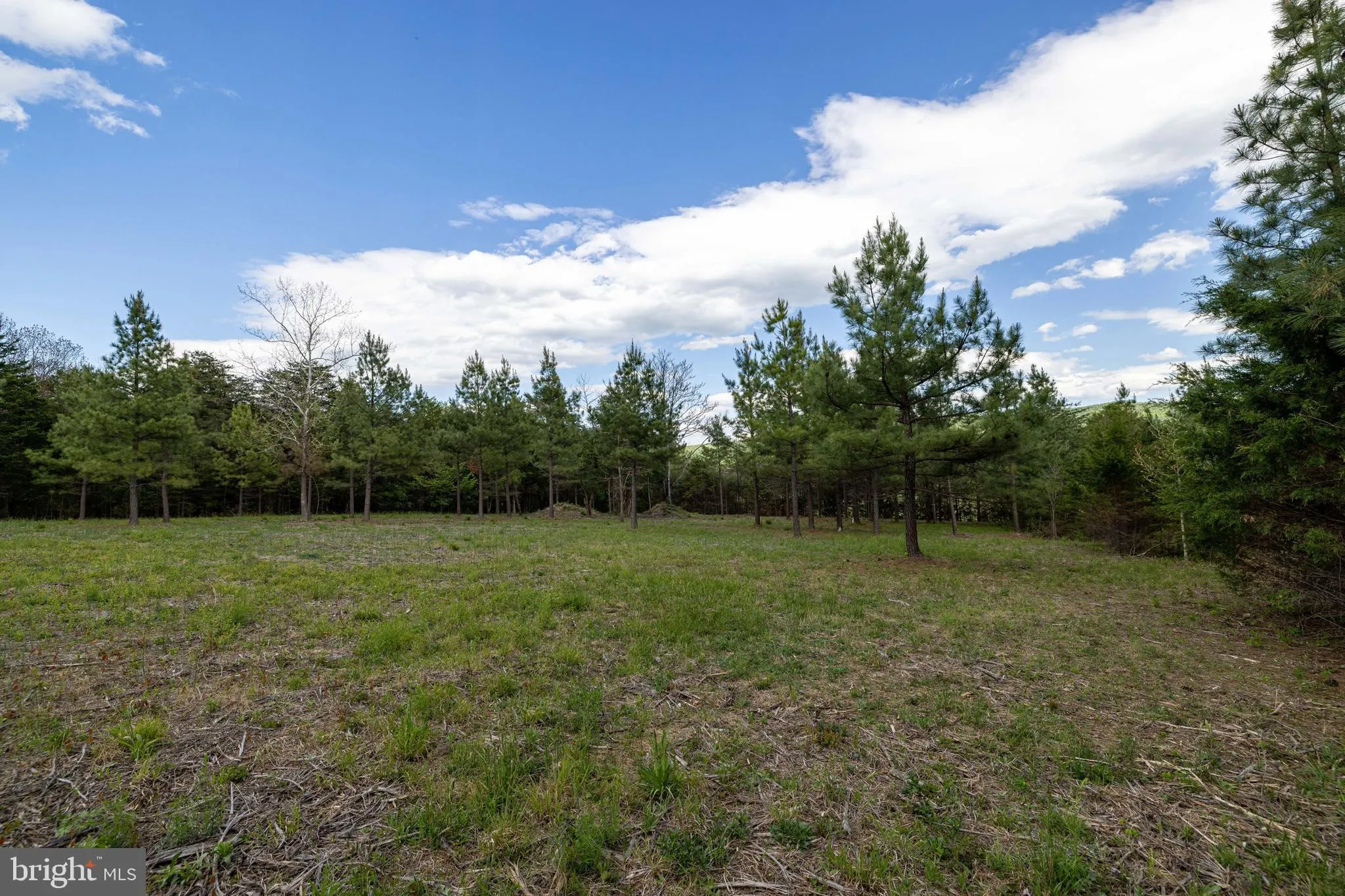 Additional image 70 of Boliver Road, Fort Valley, VA 22652