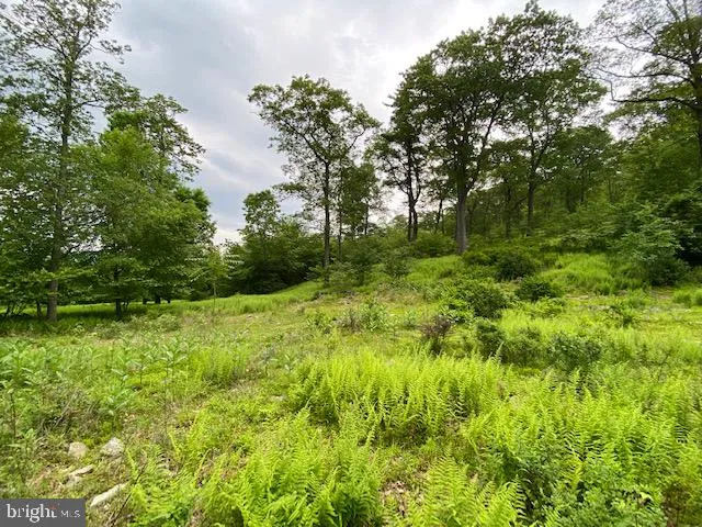 Additional image 18 of 69 Edge Rock Drive, Drums, PA 18222