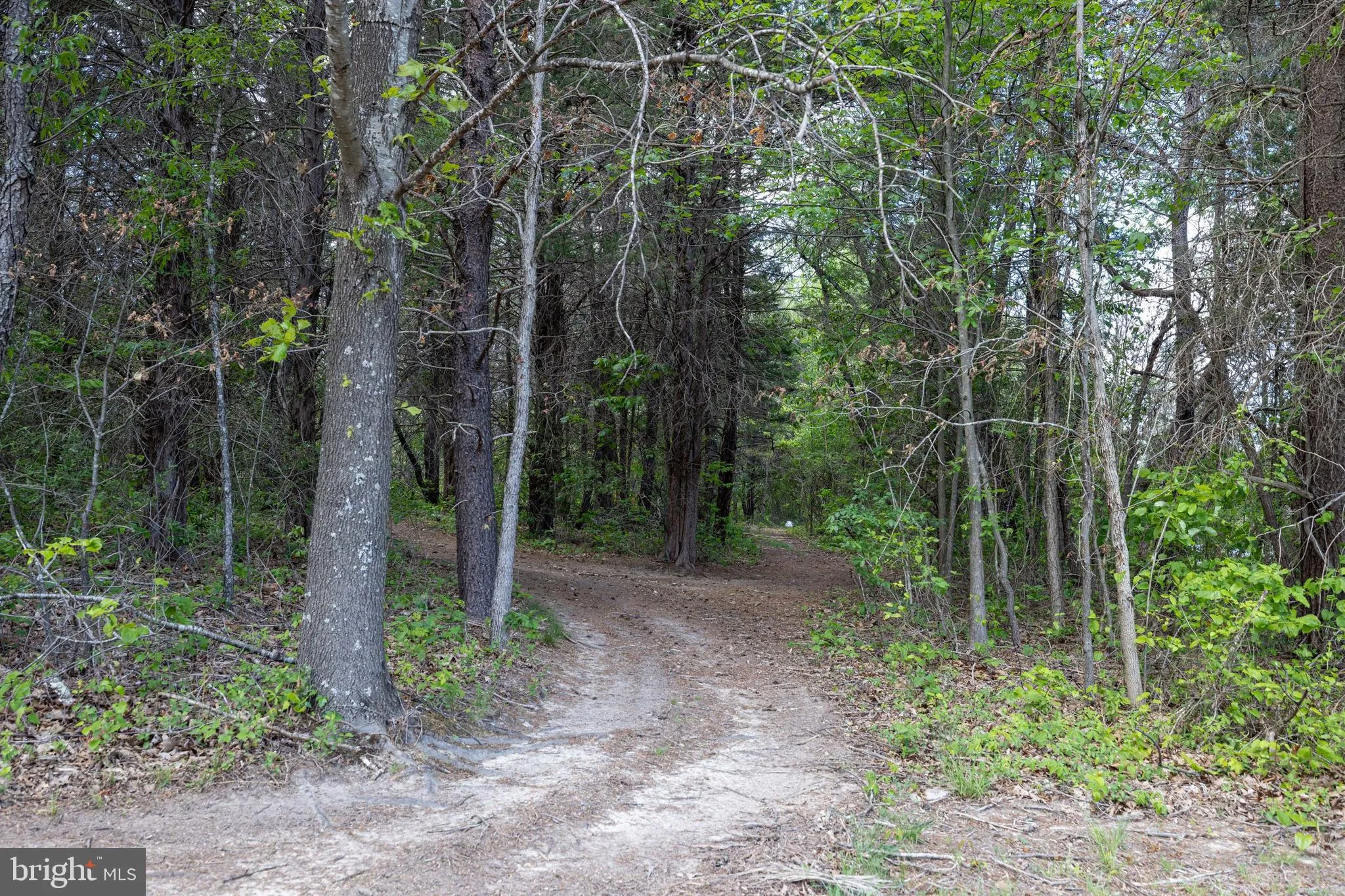 Additional image 63 of Boliver Road, Fort Valley, VA 22652