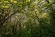 Additional image 20 of Highsted Park, Peacehaven