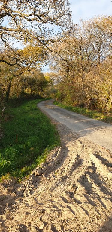 Land for saleChilsworthy/ Holsworthy, Devon EX22 photo 5