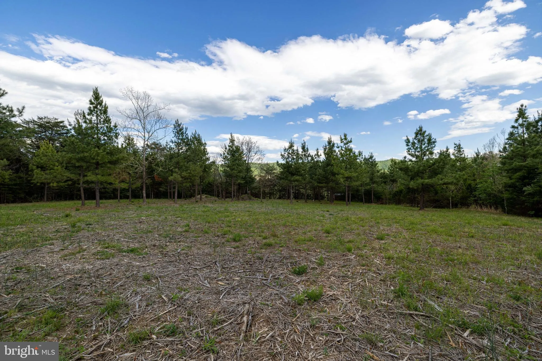 Additional image 52 of Boliver Road, Fort Valley, VA 22652
