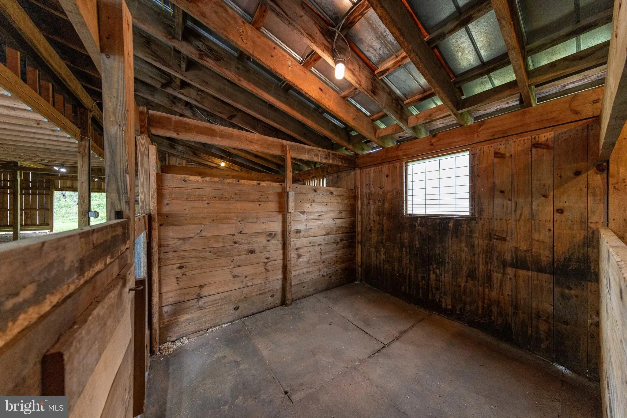 Additional image 135 of 2645 Dry Run Road, Luray, VA 22835