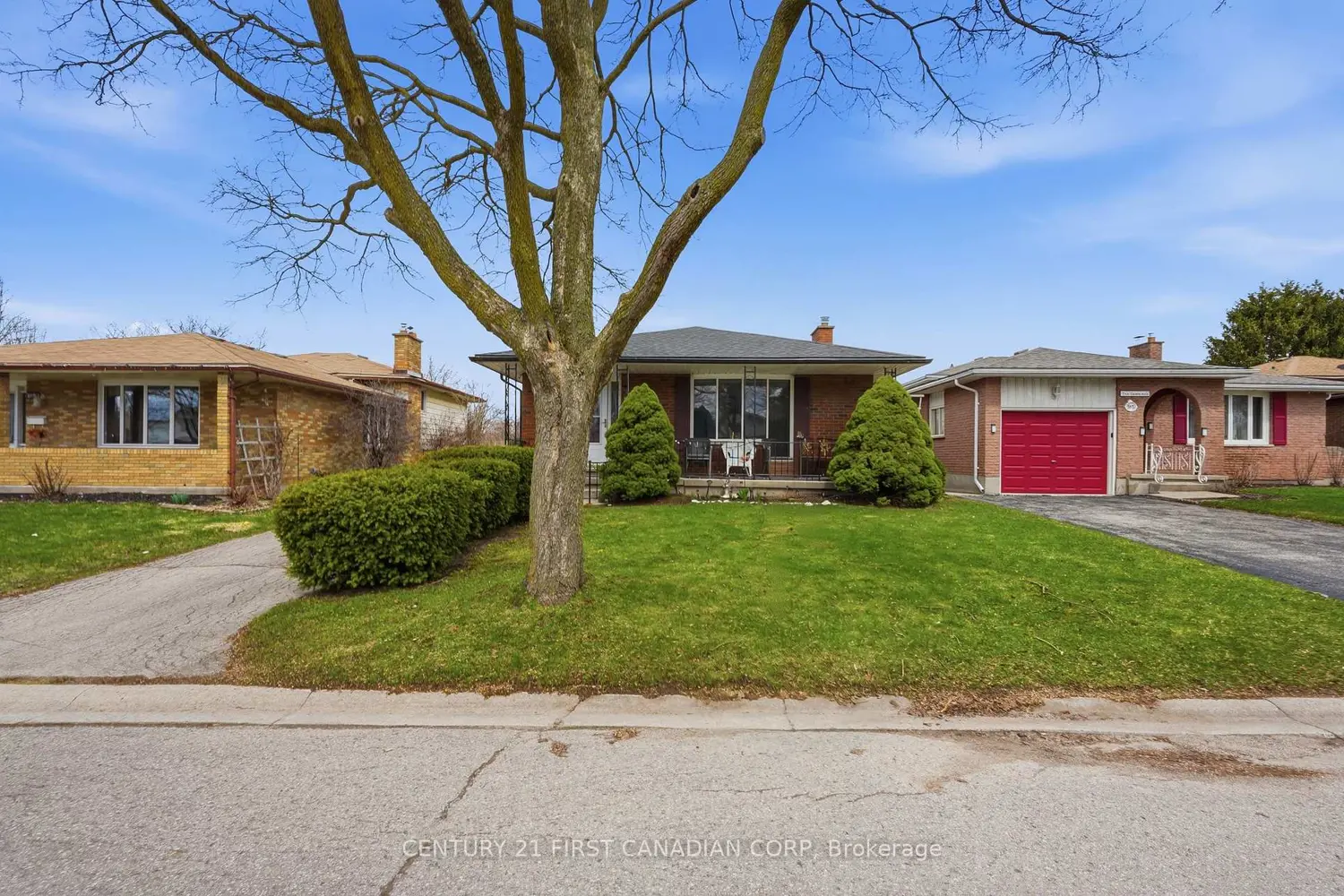 99 Muriel Crescent photo 3