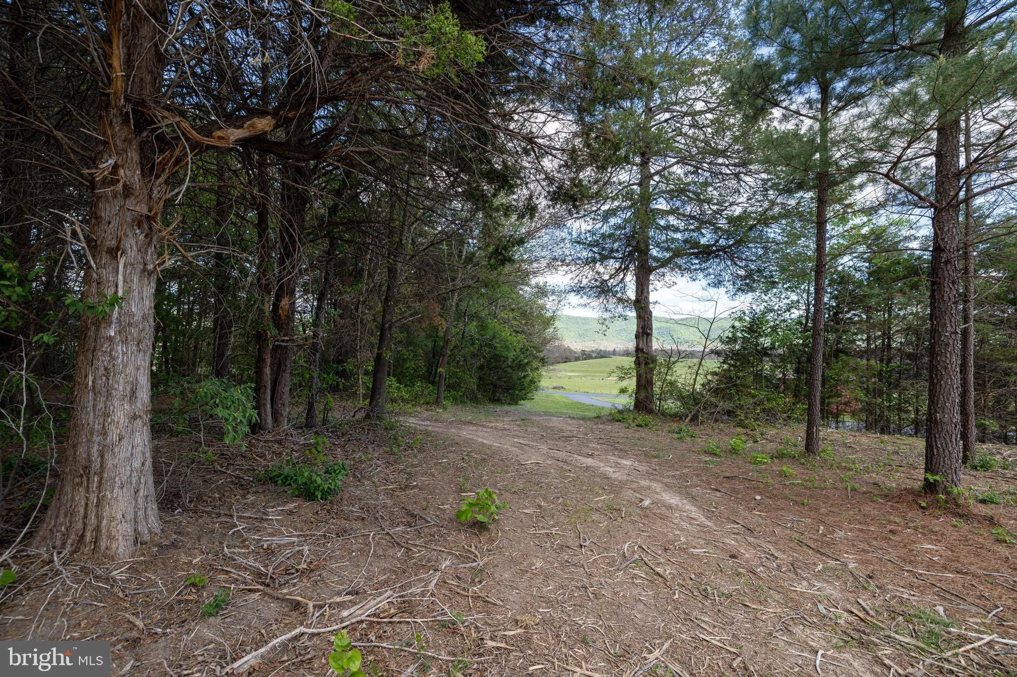 Additional image 62 of Boliver Road, Fort Valley, VA 22652