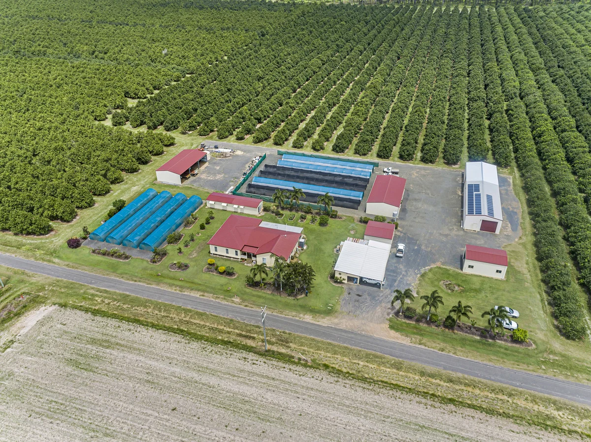 Additional image 3 of Meadowvale QLD 4670