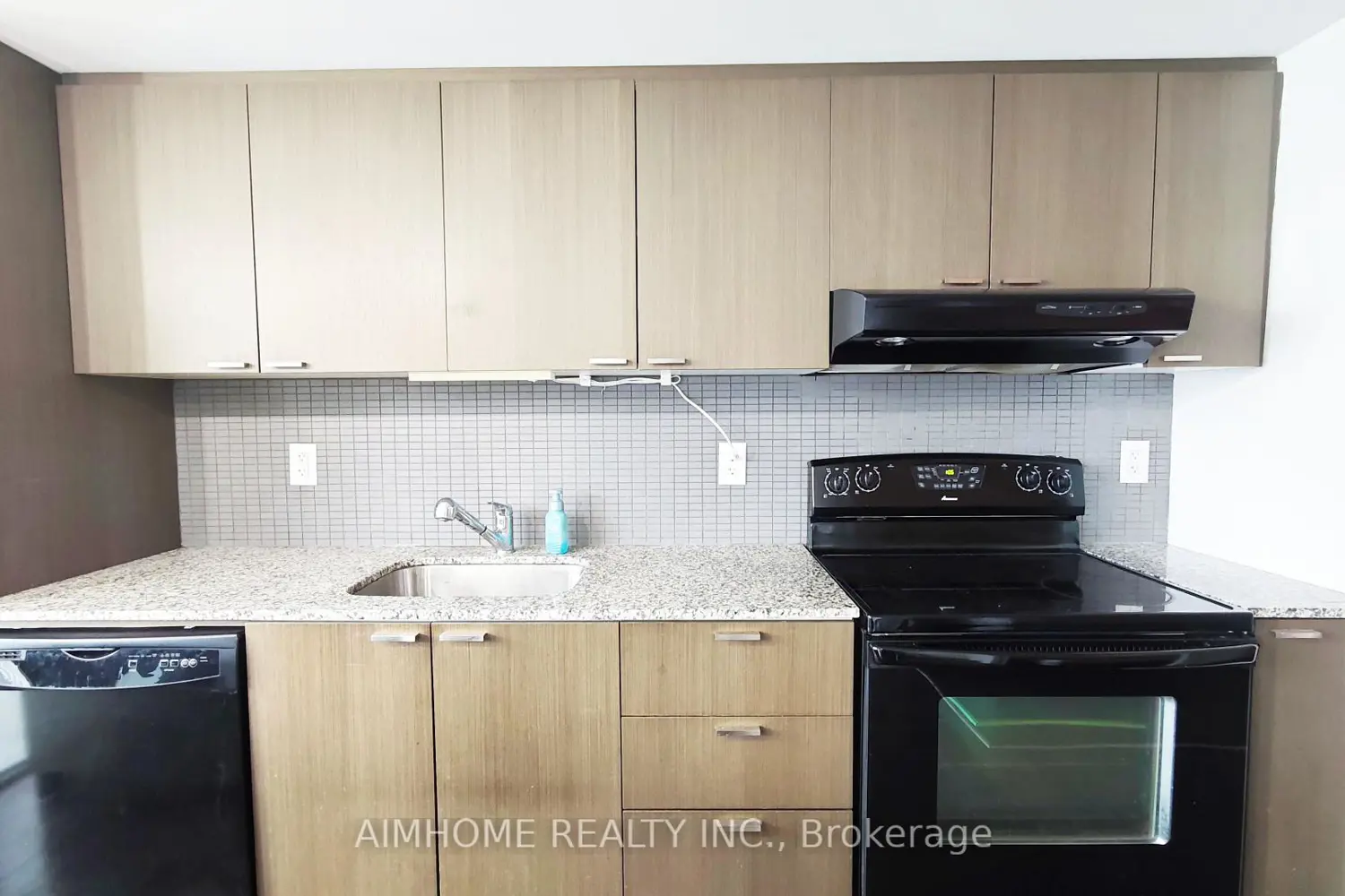 110 Charles Street 1510 photo 2