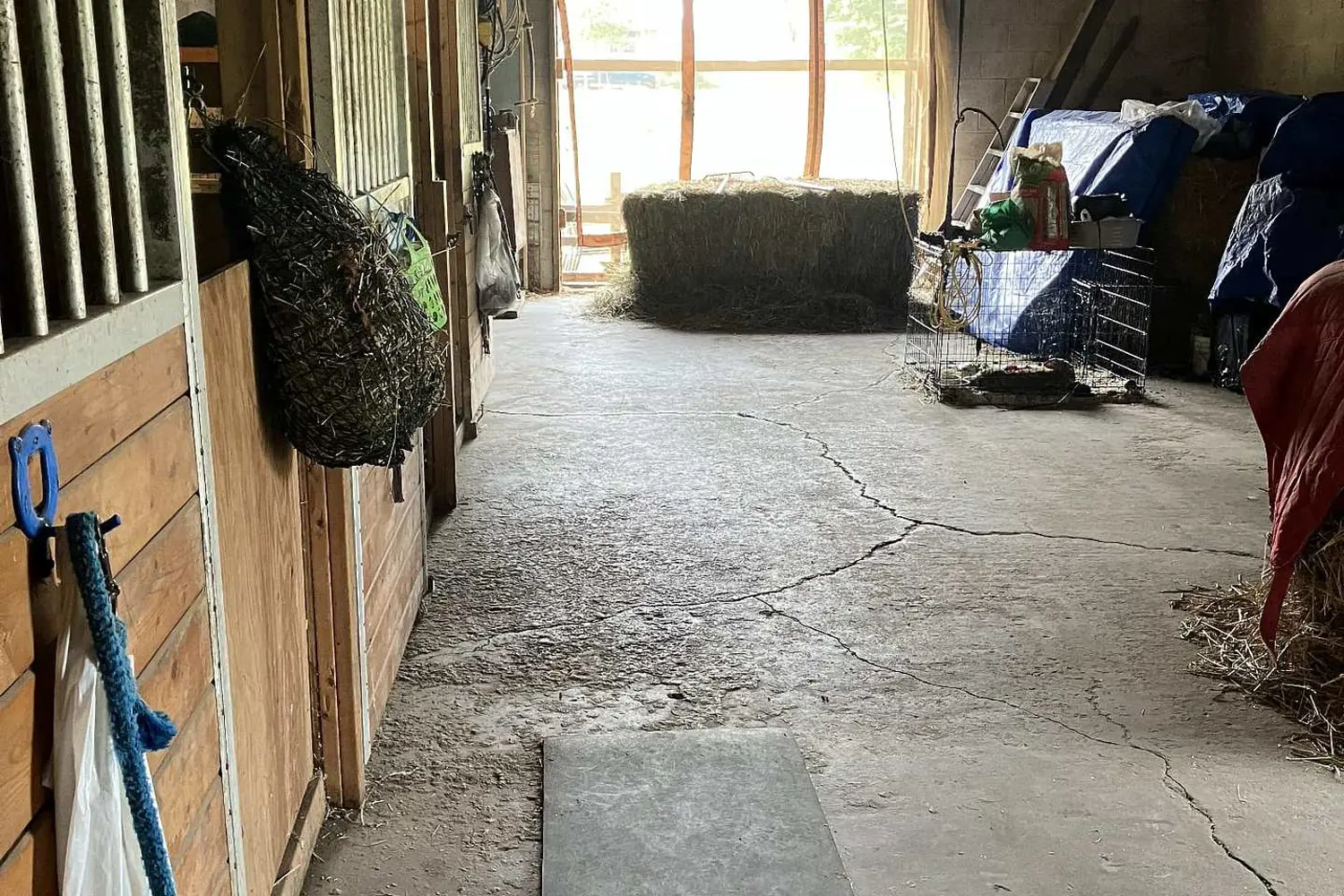 283 Inman Road photo 4