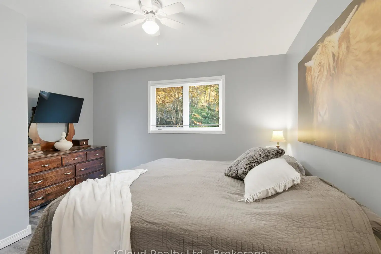 6 Springhill Road photo 4