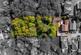 Additional image 3 of Highsted Park, Peacehaven