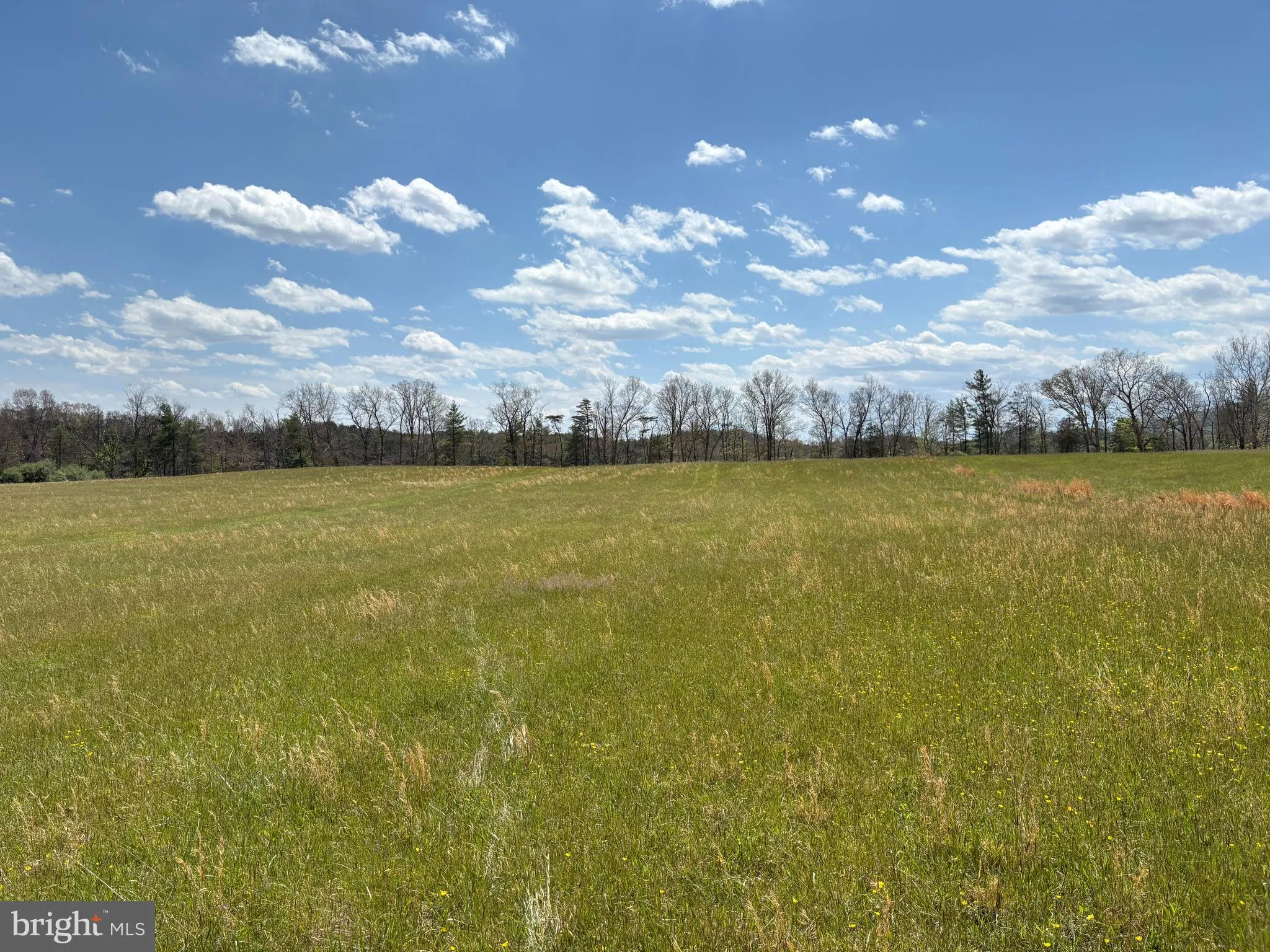 Additional image 62 of 8.25 AC Walnut Tree Lane, Paw Paw, WV 25434