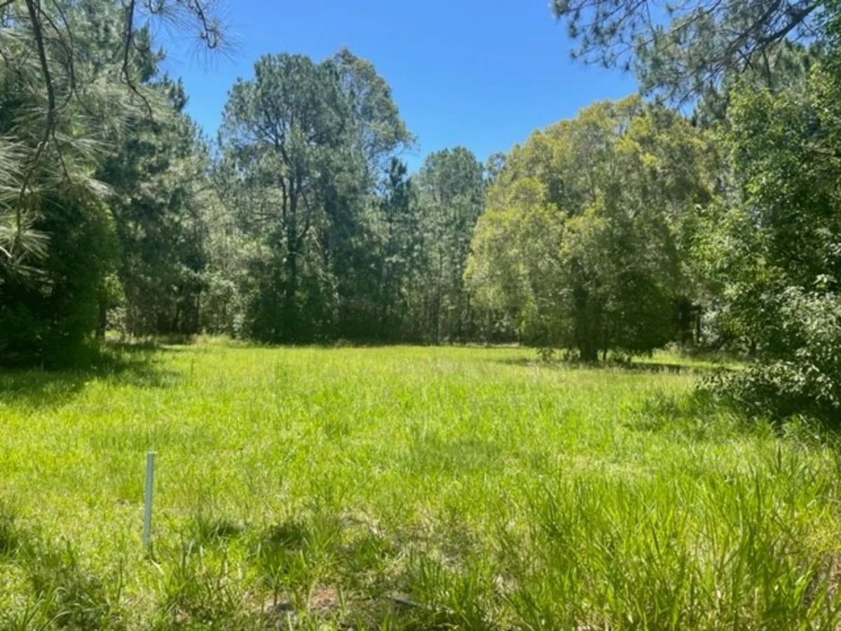 Woodford QLD 4514 photo 5