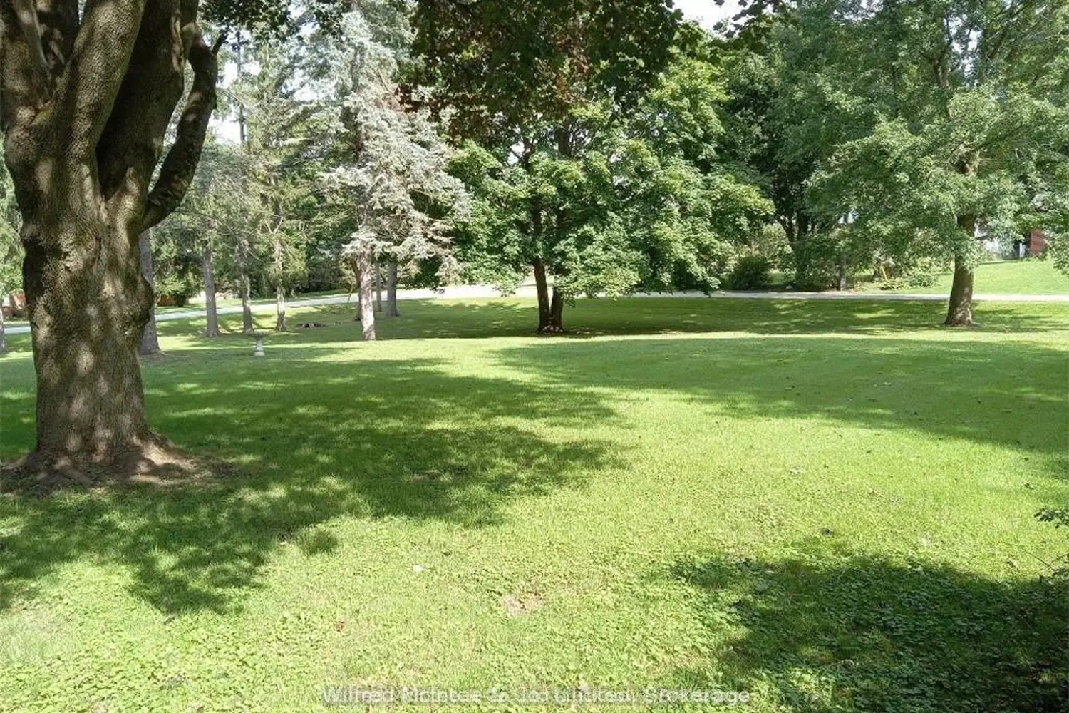 Additional image 5 of 83 Duncan Street