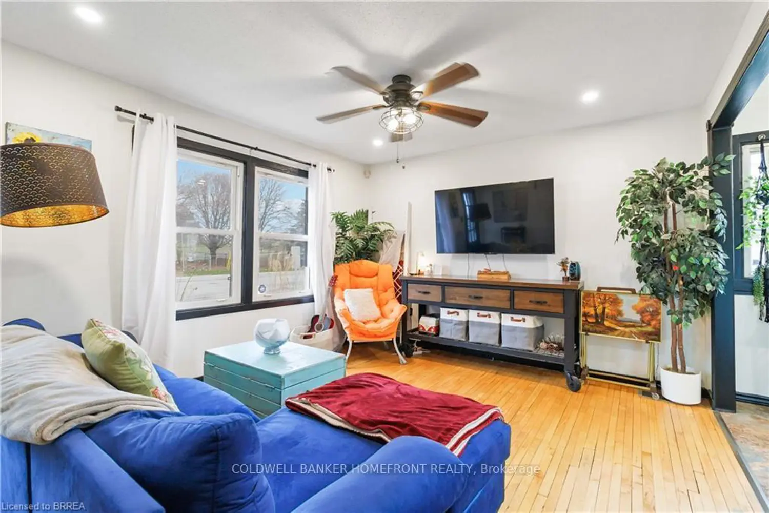 213 Elgin Street photo 5