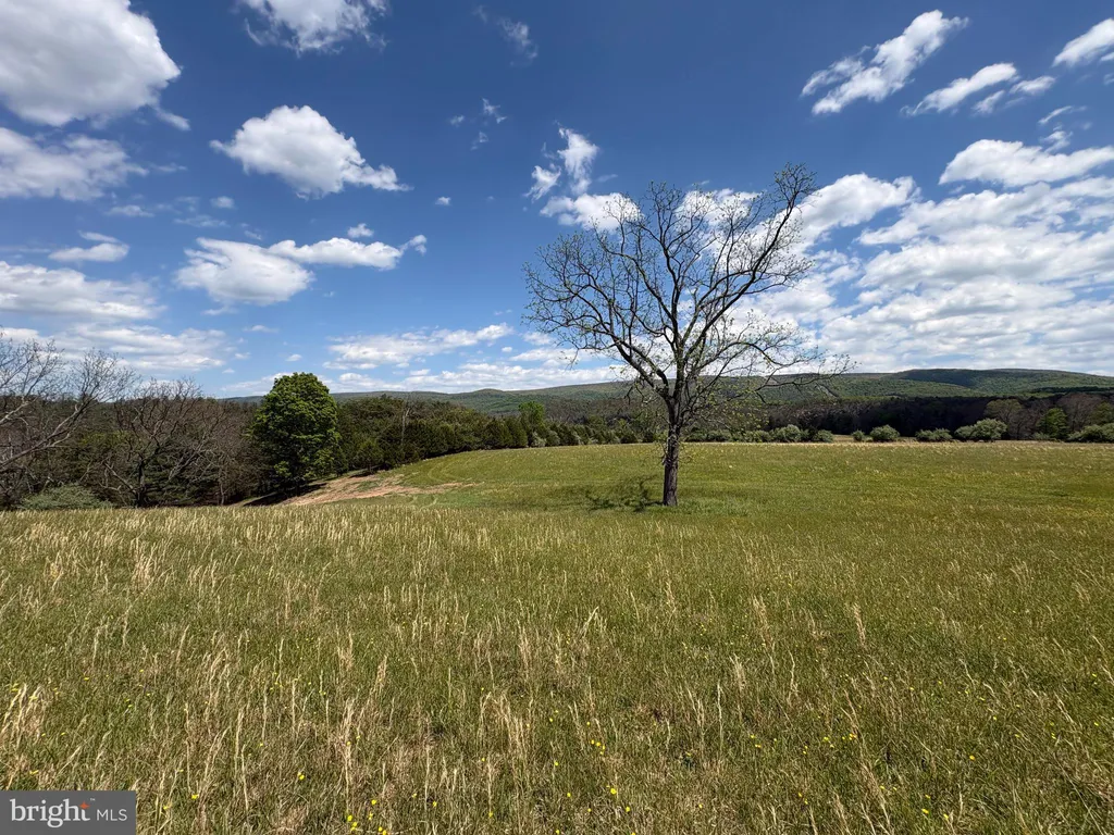 Additional image 2 of 8.25 AC Walnut Tree Lane, Paw Paw, WV 25434