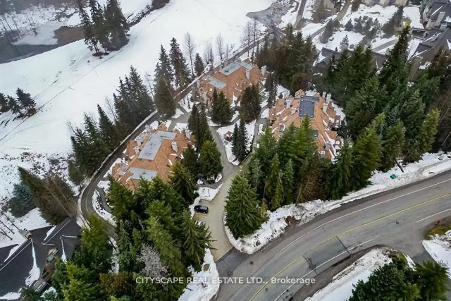 Additional image 16 of 4636 Blackcomb Way 31