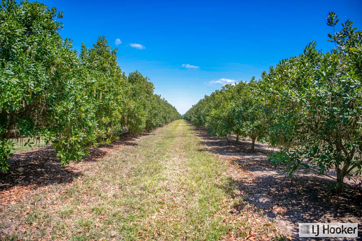 Additional image 12 of Meadowvale QLD 4670