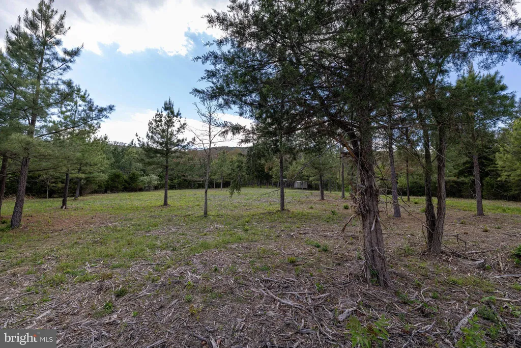 Additional image 20 of Boliver Road, Fort Valley, VA 22652