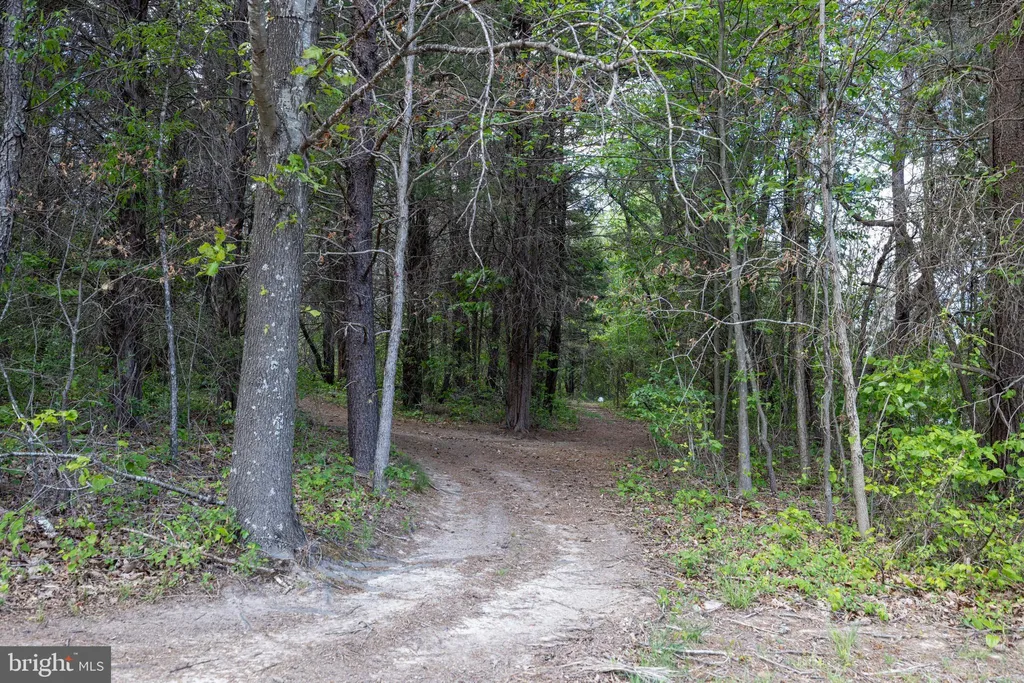 Additional image 14 of Boliver Road, Fort Valley, VA 22652