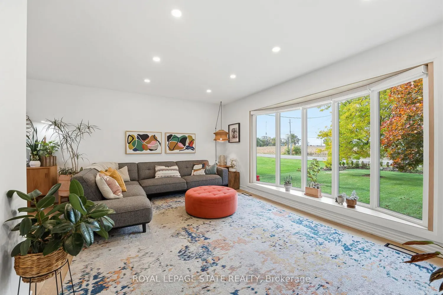 348 Sydenham Road photo 5