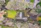Station Lane, Thorner, LS14 photo 2