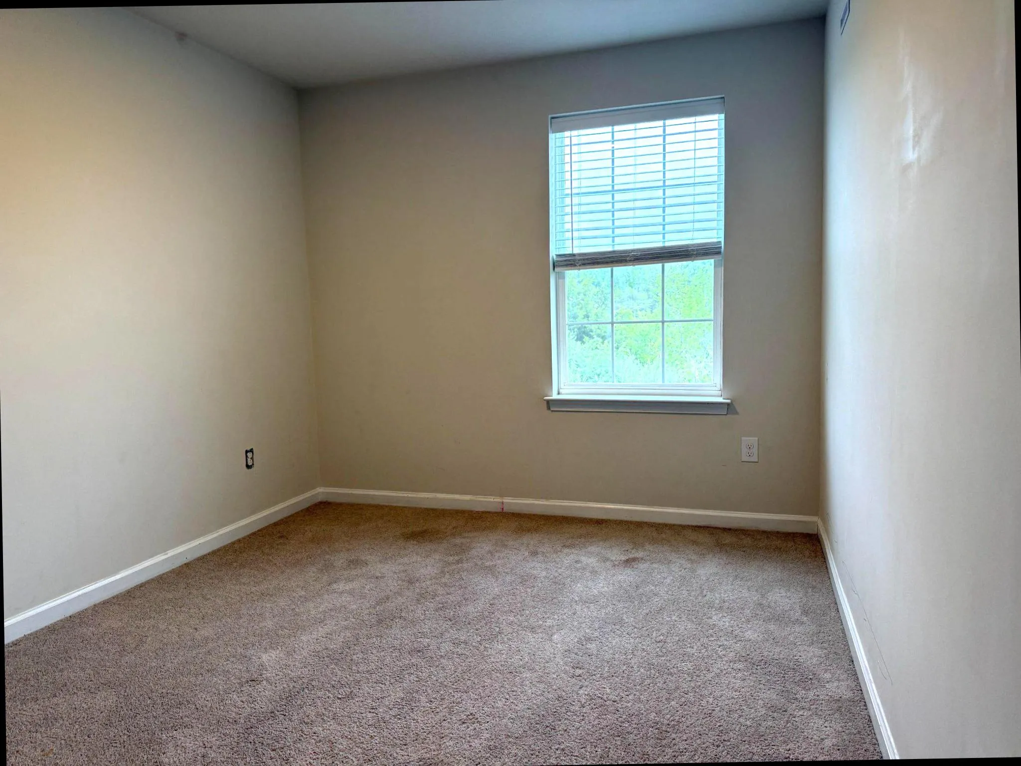 Additional image 19 of 173 Mazzeo Drive, Glassboro, NJ 08028