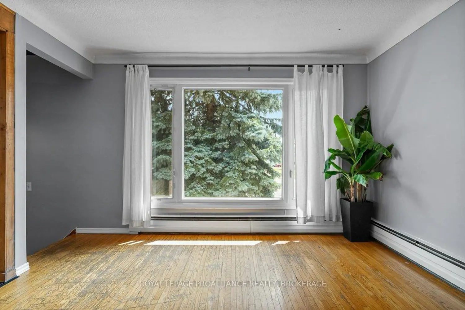 590 Macdonnell Street photo 2