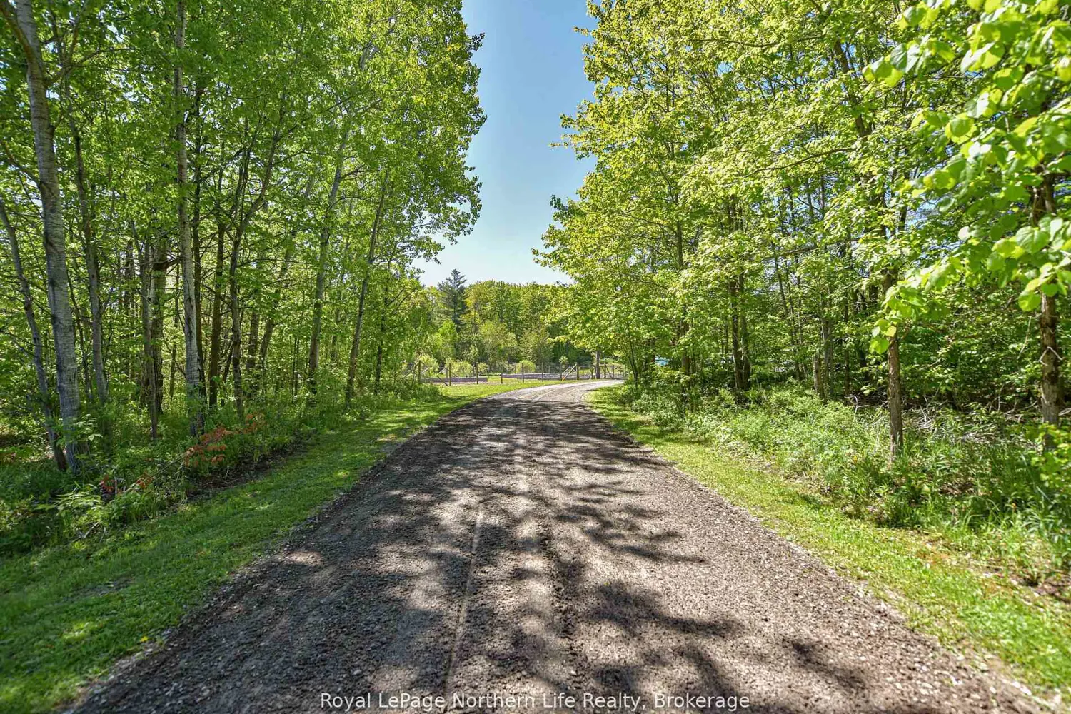 1028 Carlyon Line photo 2