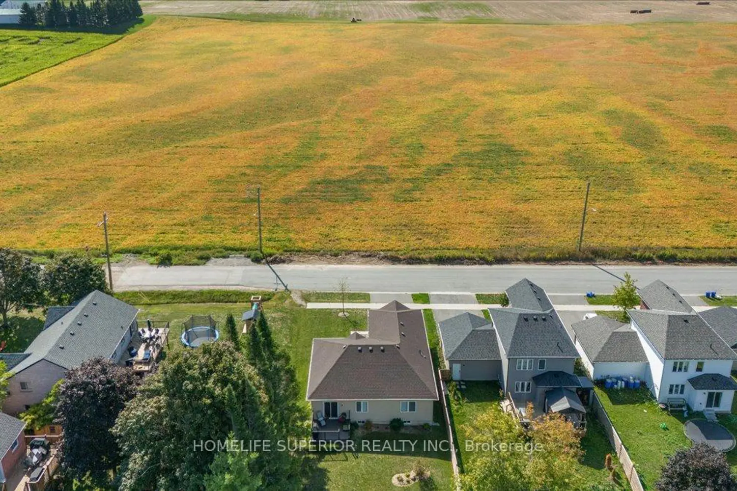 Additional image 17 of 42 Birch Street