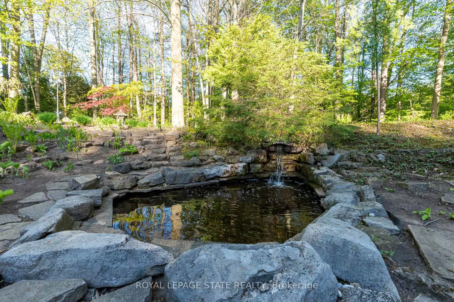 18 Elder Crescent photo 4