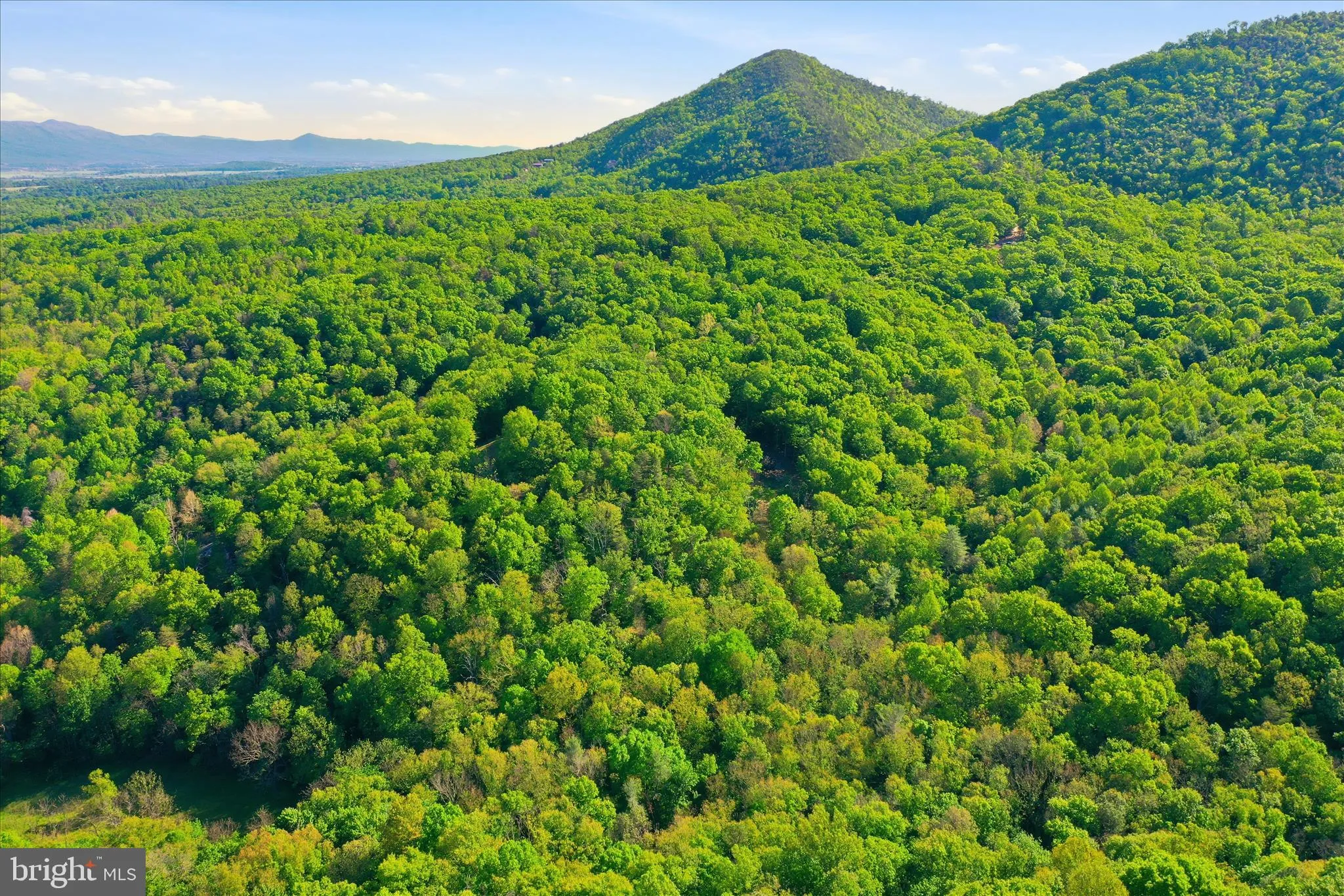Additional image 32 of Lot 57 Park View Lane, Shenandoah, VA 22849
