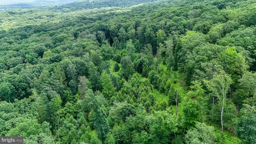 Additional image 15 of 69 Edge Rock Drive, Drums, PA 18222