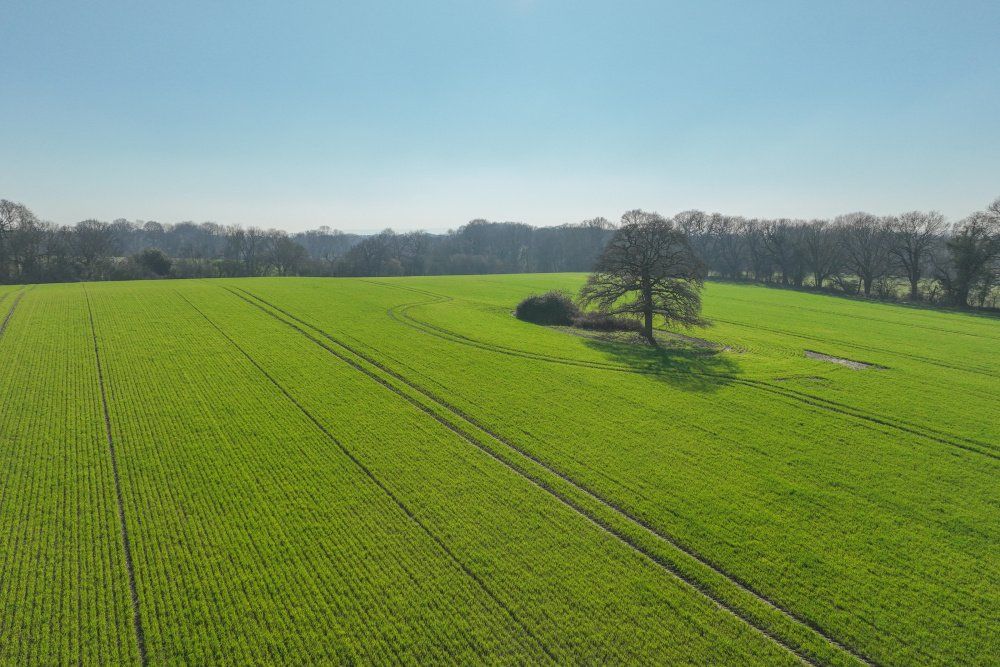 Additional image 2 of 4 bed detached house for saleBrighton Road, Monks Gate, Horsham, West Sussex RH13
