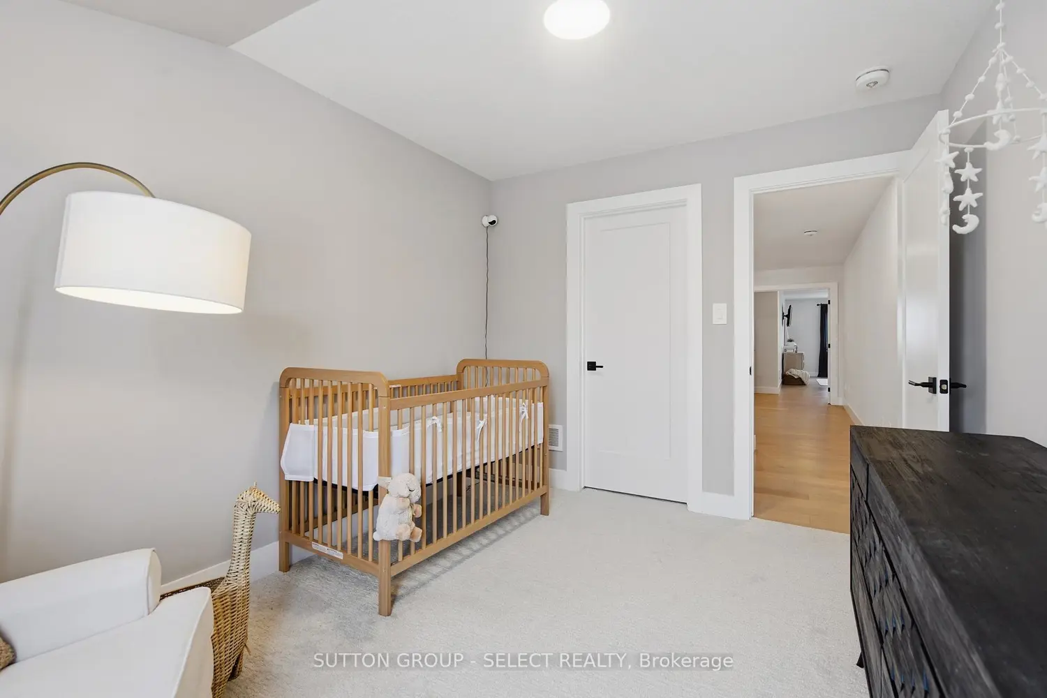 1886 Fountain Grass Drive photo 5